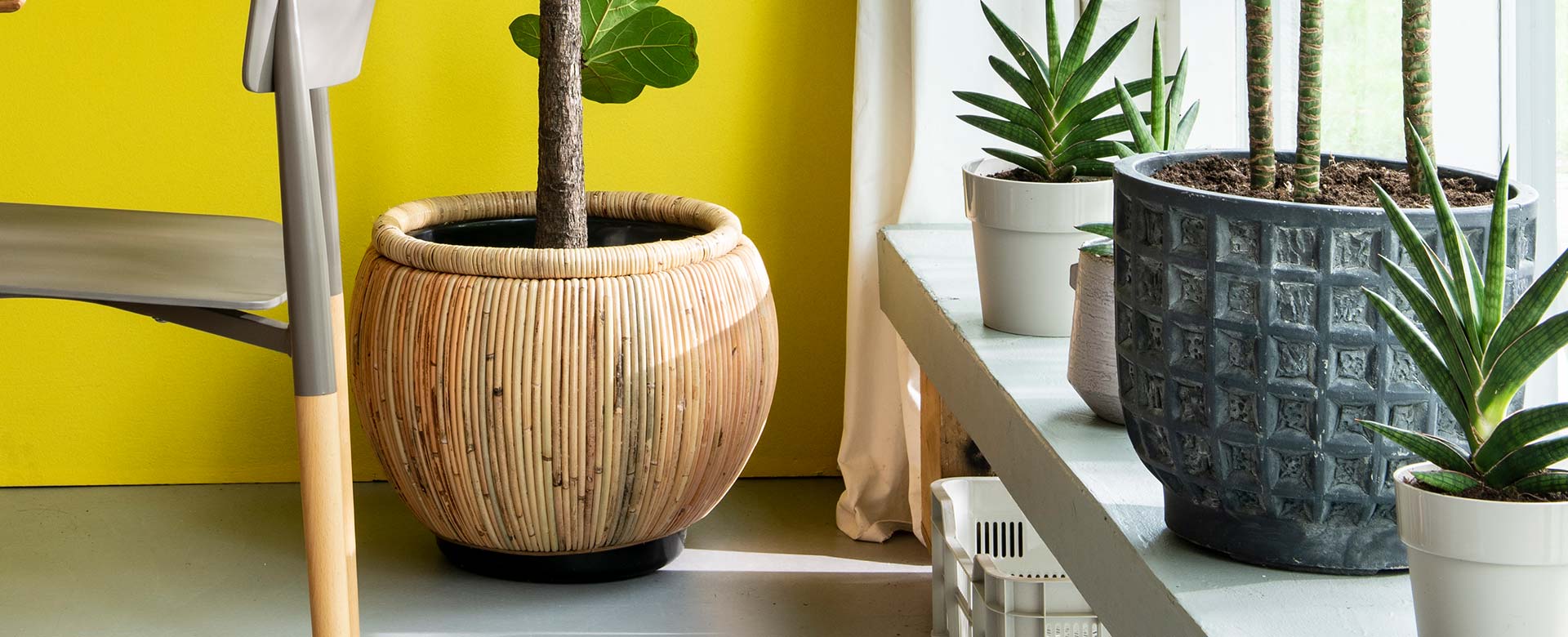 Groen Decor Verkoop -Groen Decor Verkoop header potten 2021 01