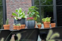 Bloempot Iowa Bullet - D23 X H20.5cm - Donkergrijs 7 Bloempot Iowa Bullet - D23 X H20.5cm - Donkergrijs -Groen Decor Verkoop iowa bullet graphite d23h205 bloempot 7 9