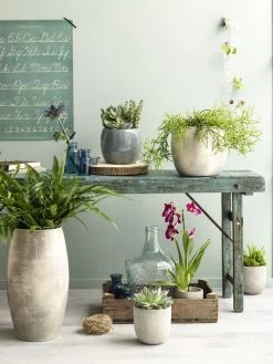 Bloempot Lester - D20 X H18cm - Lichtgrijs -Groen Decor Verkoop lester pot rond lgrijs h18xd20cm bloempot 7 12