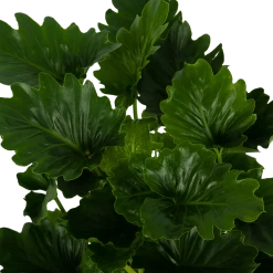 Philodendron Grizzly - P21 H55 - Kamerplant 8 Philodendron Grizzly - P21 H55 - Kamerplant -Groen Decor Verkoop philodendron grizzly p21 h55 6