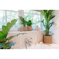 Plantenmand Joris - D33 X H31cm - Naturel -Groen Decor Verkoop plantenmand joris naturel plantenmand 3 1