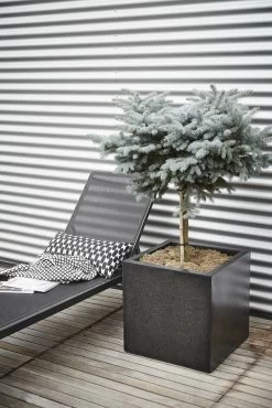 Capi Plantenbak Vierkant Lux Terrazo - L80 X B80 X H80cm - Zwart -Groen Decor Verkoop pot vierkant 80x80x80 zwart plantenbak 7 8