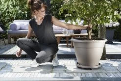 Plantentaxi Elho Universeel 35cm - Antraciet -Groen Decor Verkoop universele planttaxi 35cm schotel antraciet 6 11