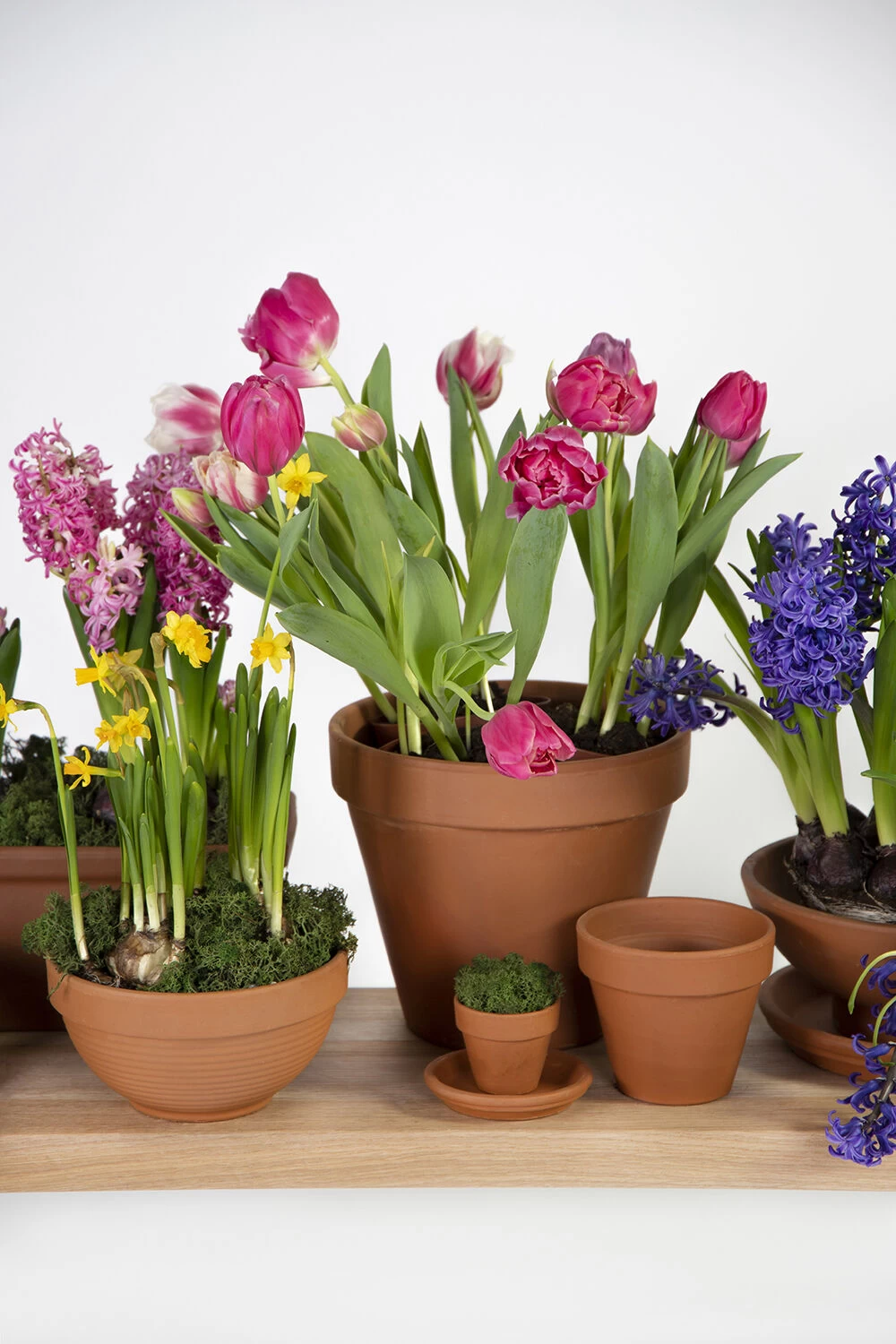 Bloempot Vaso - D39 X H34.5cm - Oranje 4 Bloempot Vaso - D39 X H34.5cm - Oranje - Afbeelding 2