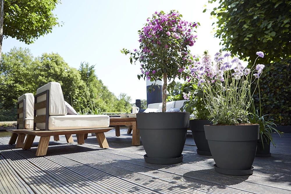 Bloempot Elho Vibia Campana Rond 47cm - Antraciet 4 Bloempot Elho Vibia Campana Rond 47cm - Antraciet - Afbeelding 2