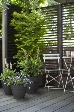 Bloempot Elho Vibia Campana Rond 47cm - Antraciet 7 Bloempot Elho Vibia Campana Rond 47cm - Antraciet -Groen Decor Verkoop vibia campana rond 47 bloempot antraciet 7 11