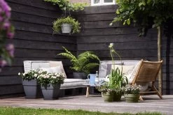 Bloempot Elho Vibia Campana Vierkant 37cm - Antraciet -Groen Decor Verkoop vibia campana vierkant 37 plantenbak antraciet 6 11