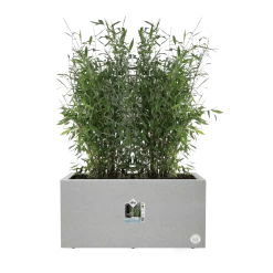 Elho Vivo Next Lang Wielen 60cm - Warm Grijs 13 Elho Vivo Next Lang Wielen 60cm - Warm Grijs -Groen Decor Verkoop vivo next lang wielen 60cm warm grijs 5 1